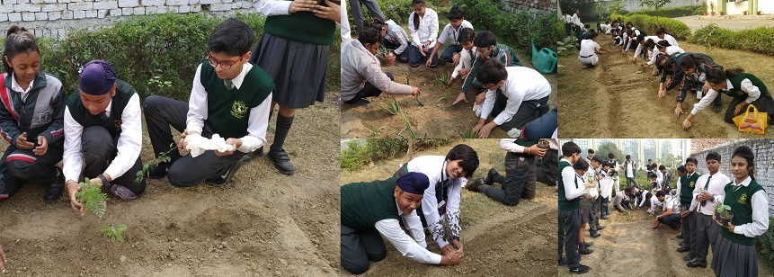 Delhi Public School HRIT - collherbalgarden