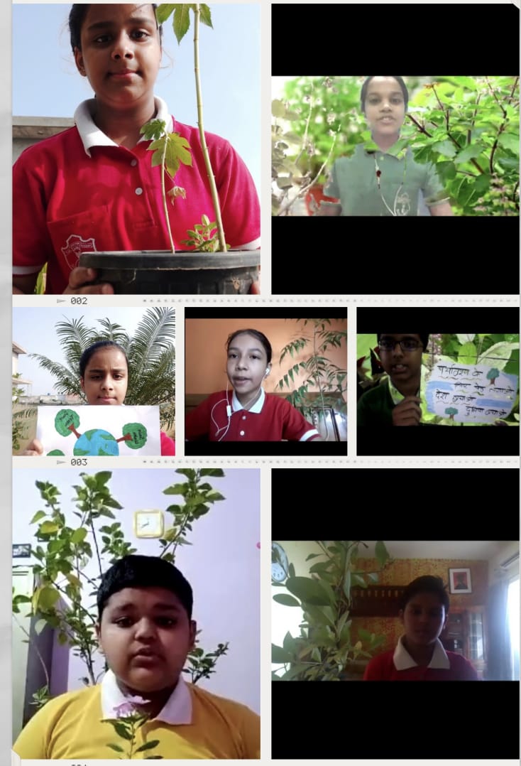 Delhi Public School HRIT - plants-isa-activity