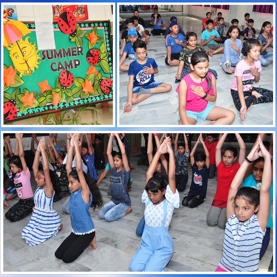 Delhi Public School HRIT - summer-camp-image7